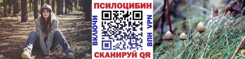 mega tor Новоалтайск Псилоцибиновые грибы мицелий как найти
